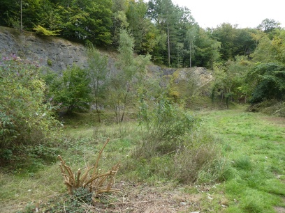 One of the many Doward quarries.